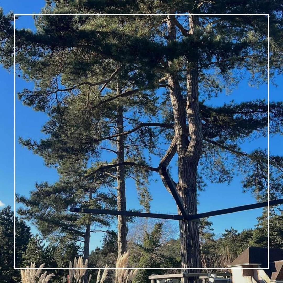 Le Regina Hotel Restaurant Hardelot-Plage Εξωτερικό φωτογραφία