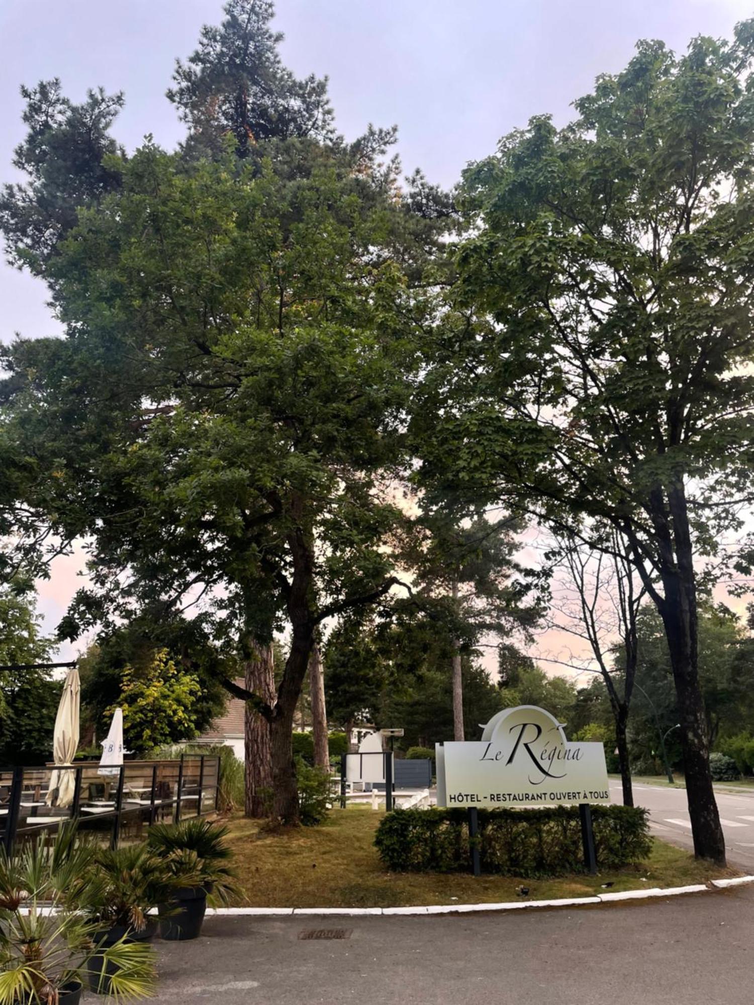 Le Regina Hotel Restaurant Hardelot-Plage Εξωτερικό φωτογραφία